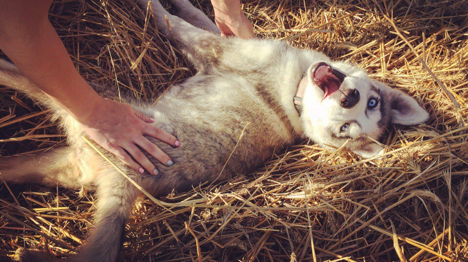 Победитель фотоконкурса